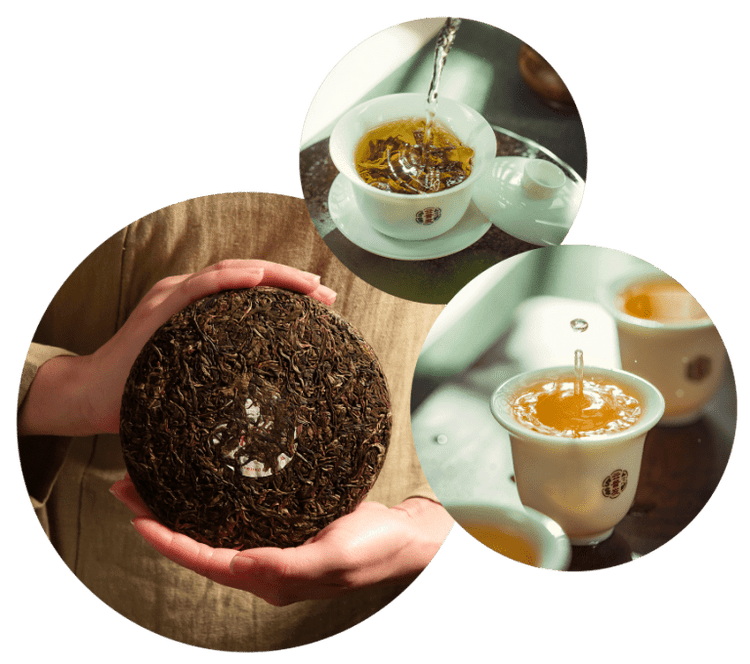 Choosing Pu'er Tea Yunpufa